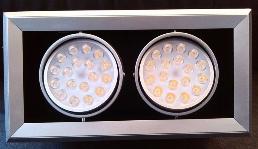 36w LED double down lights/recessed downlights/led downlights